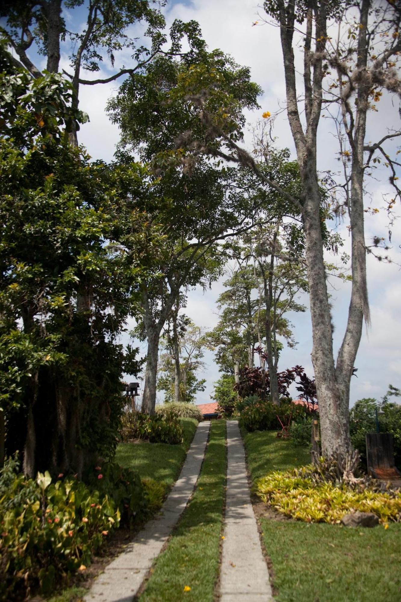 Finca Hotel Los Girasoles 몬테네그로 외부 사진